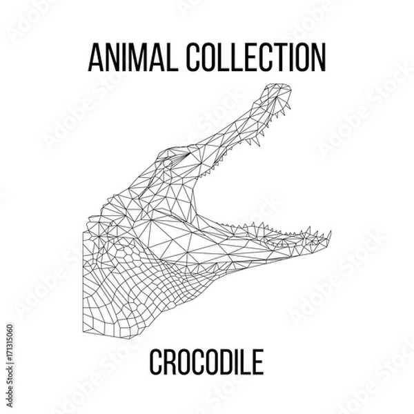 Fototapeta Crocodile head geometric lines silhouette isolated on white background vintage vector design element illustration