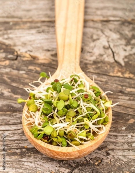 Fototapeta Sprouts in a wooden spoon on a rustic wooden surface