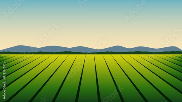 Obraz Agriculture farm field landscape illustration background vector
