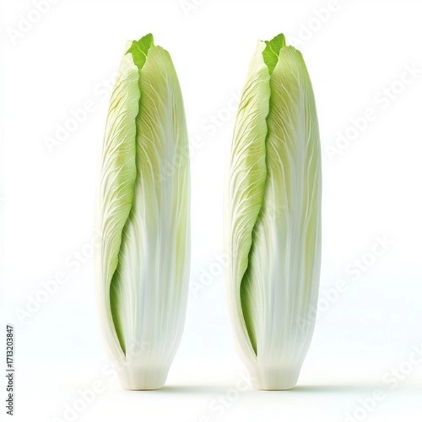 Fototapeta Two vibrant, fresh heads of lettuce on a clean, white background, showcasing their crisp texture and bright green leaves.