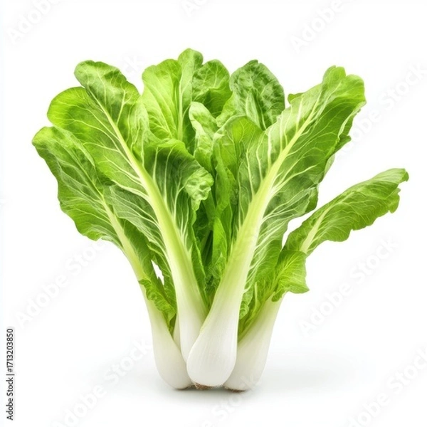 Fototapeta Fresh green bok choy with crisp leaves, showcasing vibrant color and healthy appearance against a white background.