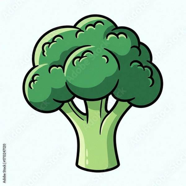 Obraz broccoli vector illustration