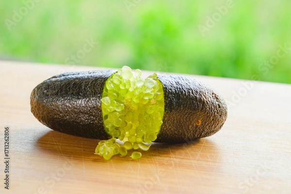 Obraz フィンガーライム