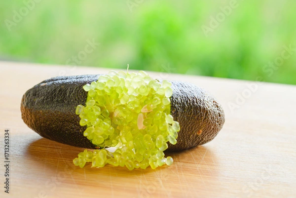 Fototapeta フィンガーライム