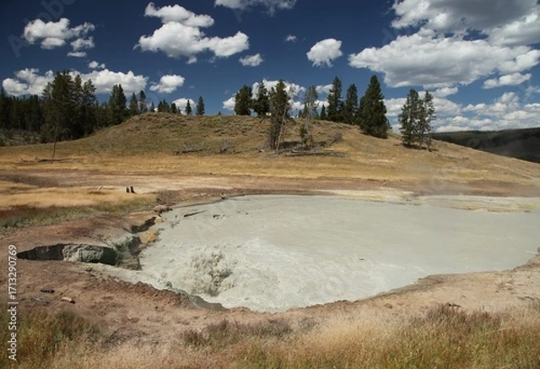 Fototapeta Churning Caldron along Mud Volcano Trail in Yellowstone National Park, Wyoming