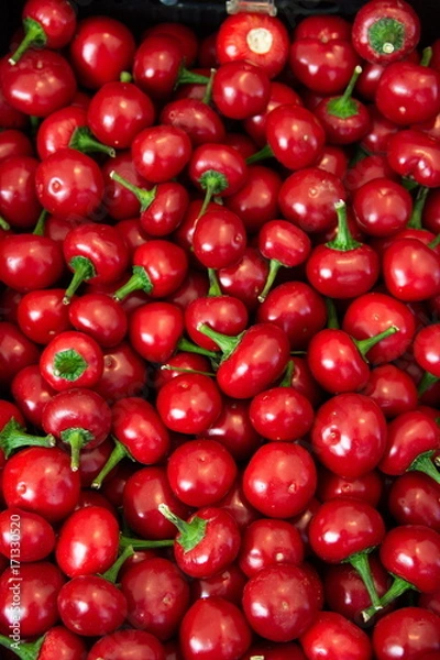 Obraz peperoncini rotondi