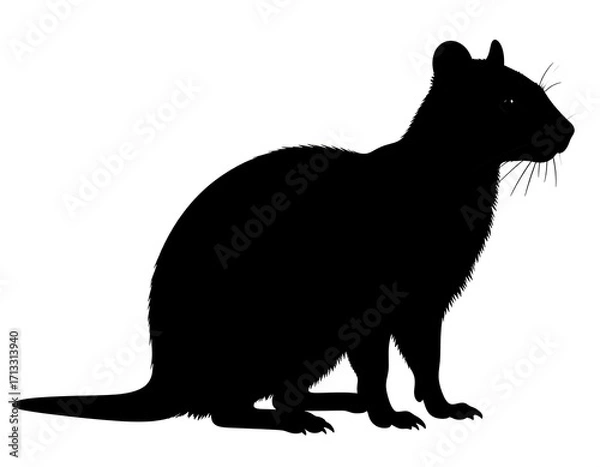 Obraz Silhouette of a rodent