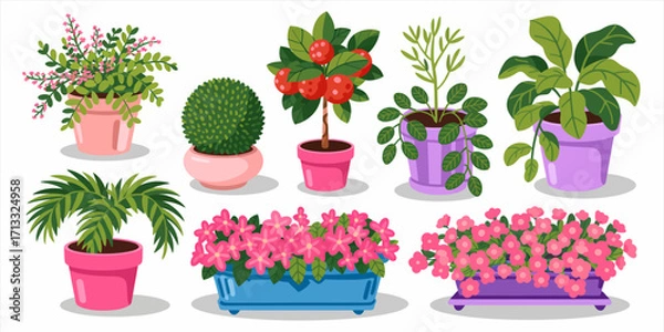 Fototapeta A vibrant display of various potted plants and flowers, showcasing a delightful assortment of greenery and blooms in colorful pots that enhance any space aesthetic.