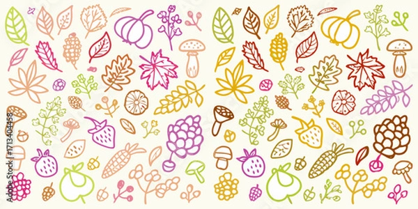 Fototapeta Whimsical hand drawn autumn harvest elements collection with leaves pumpkins berries and mushrooms