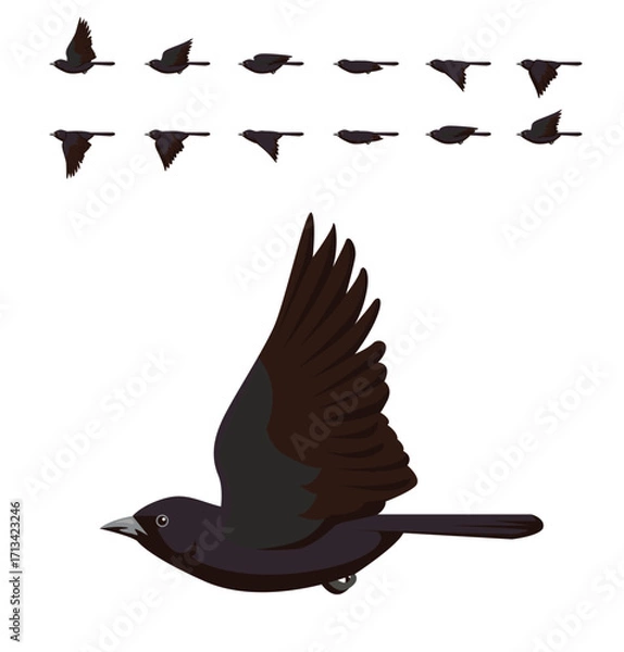 Fototapeta Chopi Blackbird Flying Seamless Background Wallpaper Pattern