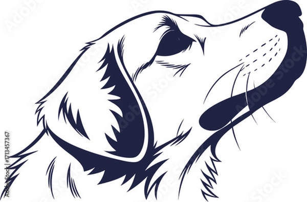 Fototapeta Detailed silhouette vector illustration of a dog in various colors and grayscale