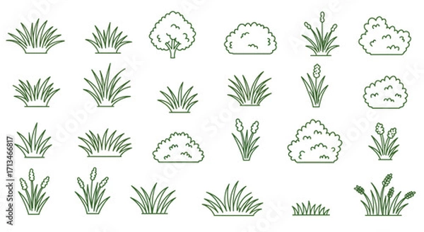 Fototapeta A collection of outline vector icons depicting various types of grass, bushes, and reeds, suitable for graphic design.