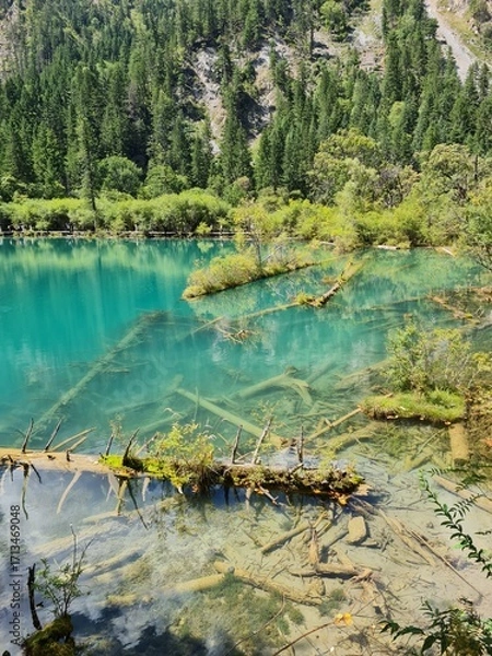 Fototapeta Reflection on the surface of a lake in summer in Jiuzhaigou National Park, China.