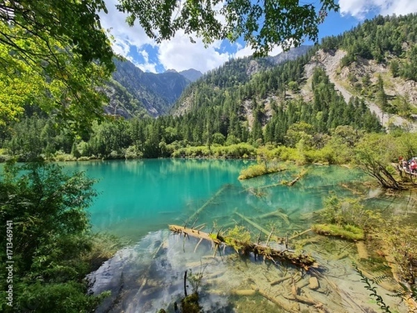 Fototapeta Reflection on the surface of a lake in summer in Jiuzhaigou National Park, China.