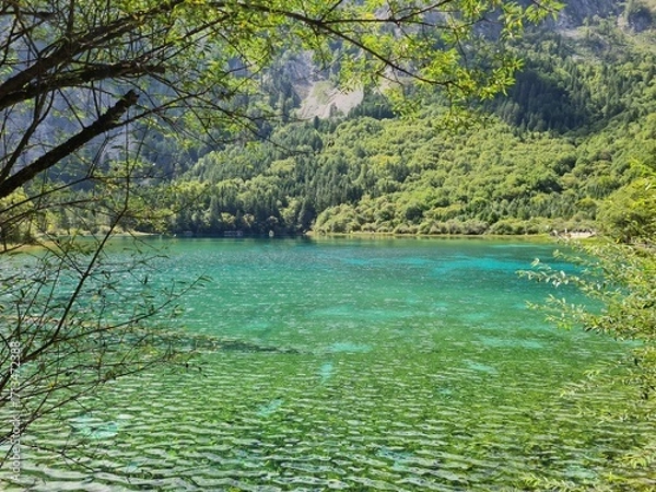 Fototapeta Reflection on the surface of a lake in summer in Jiuzhaigou National Park, China.
