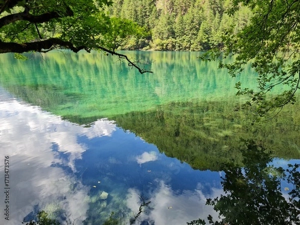 Fototapeta Reflection on the surface of a lake in summer in Jiuzhaigou National Park, China.