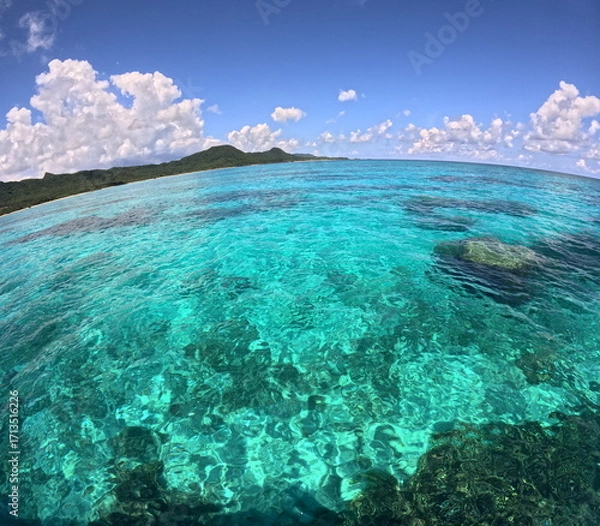 Obraz 夏雲、通り雨の予感
