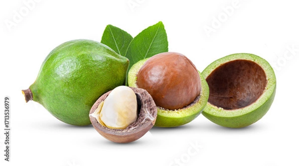 Fototapeta macadamia nuts with leaf isolated on transparent png (Image from camera)