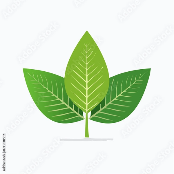 Obraz Graphic trio of green and white leaves featuring distinct vein patterns and a stylized textured appearance.