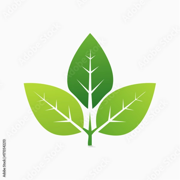 Fototapeta Simple White Three Leaf Design Graphic.