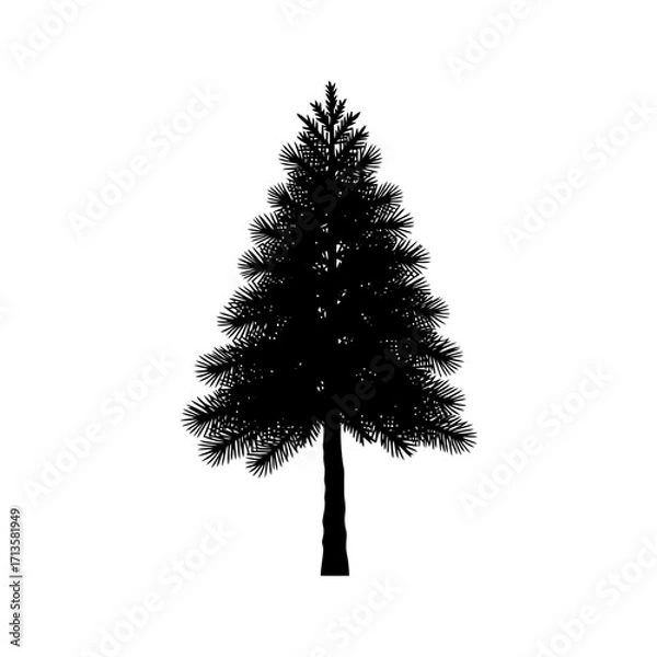 Fototapeta Black silhouette of a coniferous pine tree against a white background