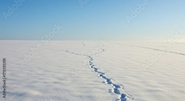Obraz Snowscape featuring clear sky and animal tracks in the snowcovered field