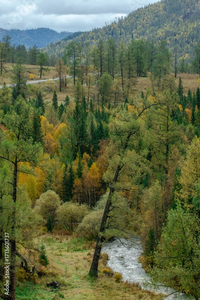 Obraz autumn in the mountains