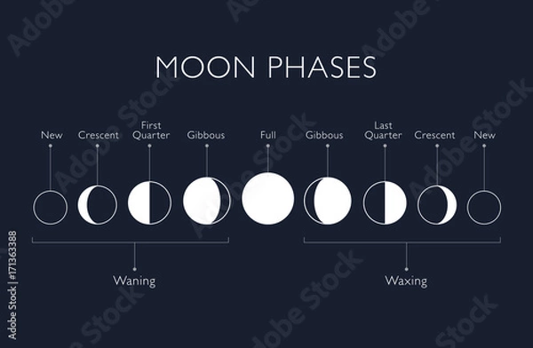 Obraz Księżycowe fazy wektorowe tło