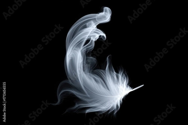 Fototapeta Abstract Feather in Motion Against Black Background