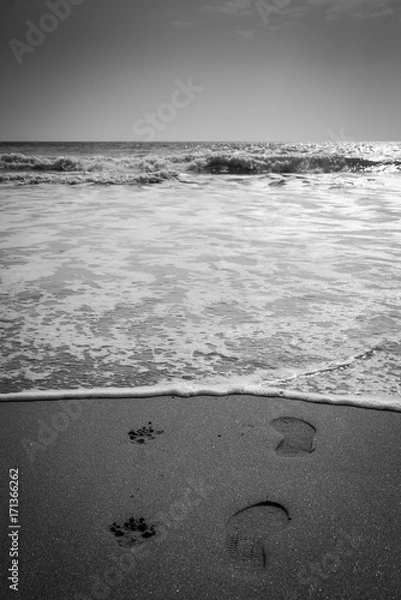 Fototapeta Tase de par