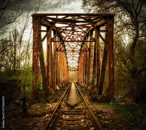 Obraz Rusty Railway Bridge in Forest