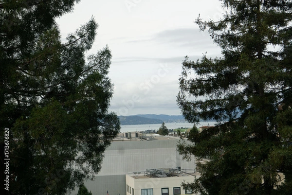 Obraz bay above city scape