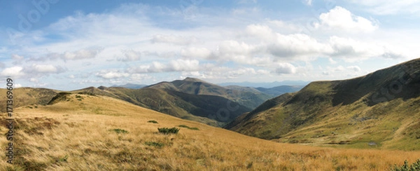 Obraz Beautiful view of the Carpathian Mountains. Dragobrat. Ukraine. Panoramic.