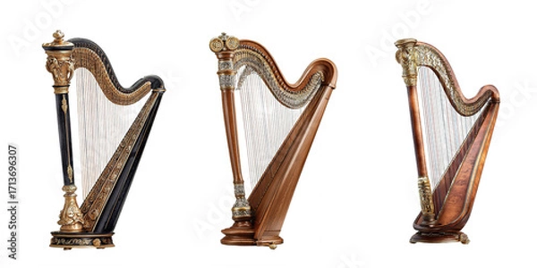 Obraz Wooden harp on transparent background