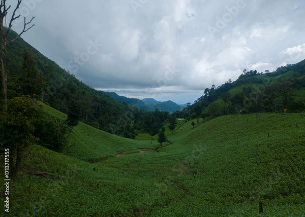 Obraz Rolling Hills Landscape under Overcast Sky: A breathtaking vista unfolds, revealing verdant rolling hills beneath a dramatic, cloud-filled sky. It's a tranquil portrayal of nature's grandeur.