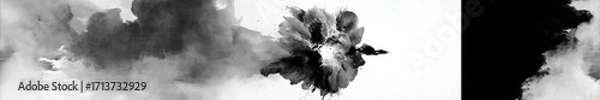 Fototapeta Abstract ink blots on white background (2)