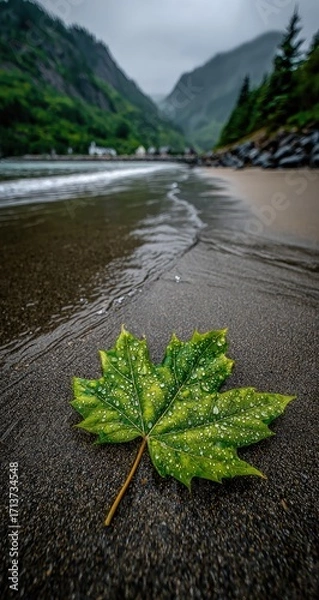 Fototapeta Rain-kissed maple leaf on a wet, dark-sand beach, with a misty mountain backdrop and gentle waves lapping the shore