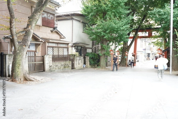 Fototapeta 神楽坂　赤城神社
