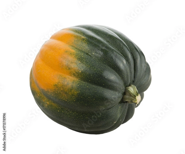 Obraz Acorn Squash on white