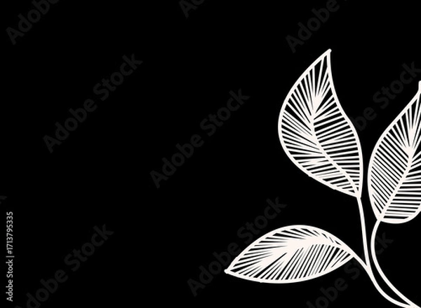 Fototapeta Minimalist botanical illustration with white lined leaves on a black background, floral line art modern abstract leaves
