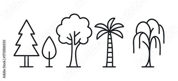 Fototapeta Outline illustrations of five different tree types: pine, oak, palm, willow, and poplar