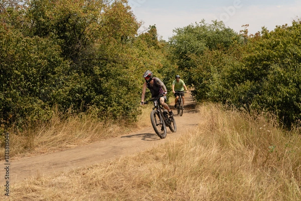 Fototapeta Two mountain bikers riding through a scenic forest trail on a sunny day