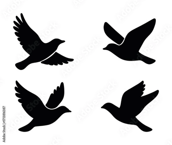 Fototapeta Set of four bird silhouettes in flight on white background