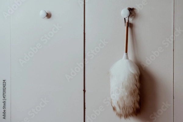 Fototapeta 掃除,ダスター,ニュージーランドの天然羊毛,クラシカルなインテリア
