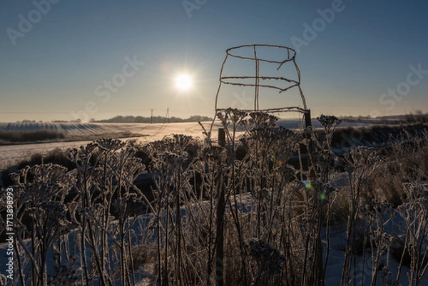 Obraz FROSTY WINTER - Snow on the fields and morning rime on the wire protector of a young tree and on the weeds
