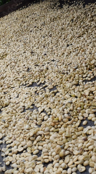 Obraz Exported coffee