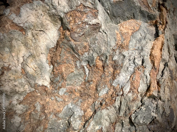 Fototapeta Textured Stone Surface, textured stone surface with a mix of grey, brown, and earth tones.