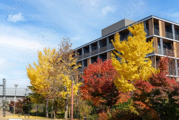 Fototapeta Perspective view of building, apartment with ginkgo and maple tree on blue sky background.