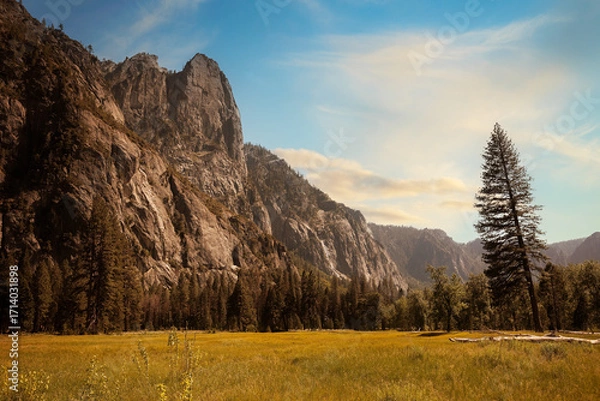 Fototapeta View along Yosemite Valley in summer with blue sky and sunlight.