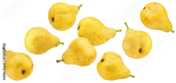 Obraz Falling yellow pears isolated on white background, full depth of field